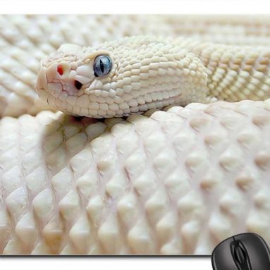 Snake Mouse Pad