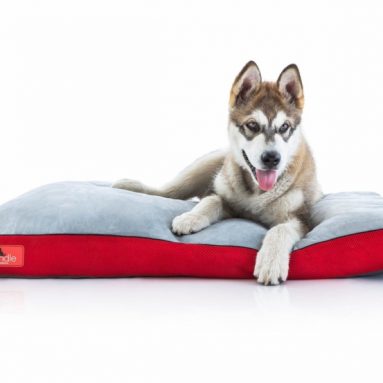Soft Memory Foam Dog Bed with Removable Washable Cover