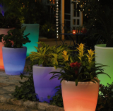 Solar Illuminated Planter