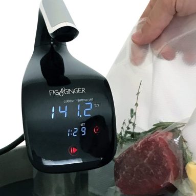 Sous Vide Immersion Circulator and Precision Cooker