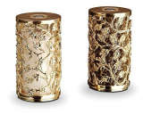 Spice Jewels Gold Salt & Pepper Shakers