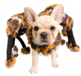 Spider Dog Costume