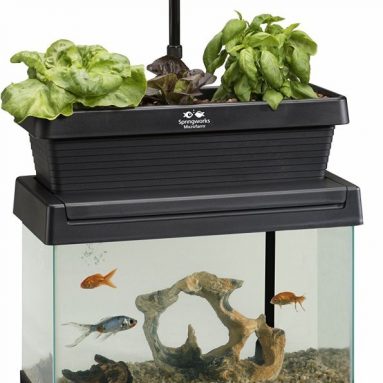 Springworks Microfarm Aquaponic Garden