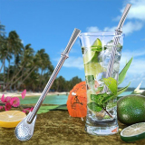 Stainless Steel Cocktail Straw with Filter