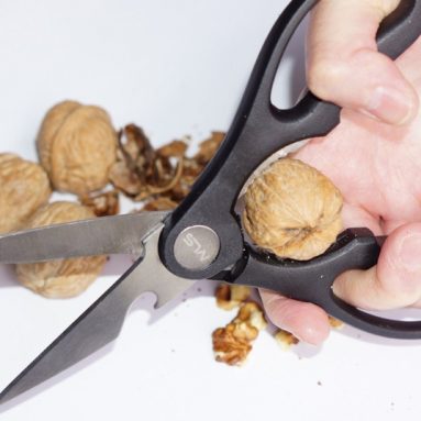 Stainless Steel Multi-Purpose Shears for Poultry