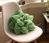 Succulent Décor Pillow