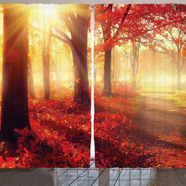 Sun Rise through Misty Old Forest in Fall Season curtains