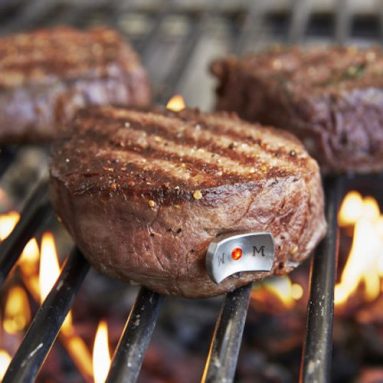 Sur La Table SteakChamp Thermometer