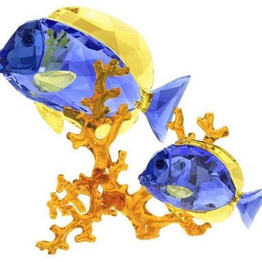 Swarovski Doctorfish Couple Collectible Figurine