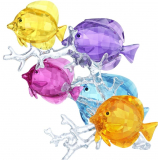 Swarovski Rainbow Fish Family Collectible Figurine