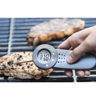 Talking Temp Digital Thermometer