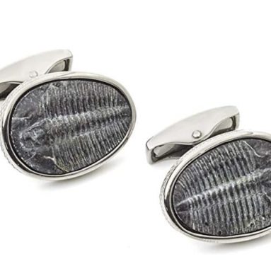 Tateossian Trilobite Fossil Cufflinks