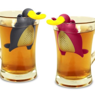 Tea Infuser Gift Set for Loose Leaf Tea