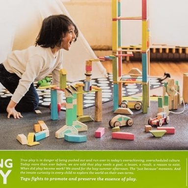 Tegu Expansion Pack Extra Large Tints Building Blocks