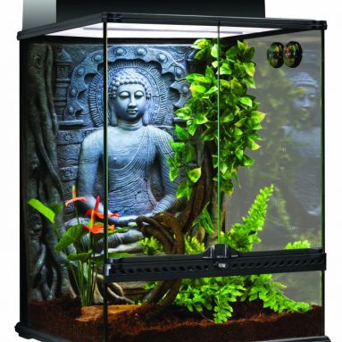 Terra Sri Lanka Rainforest Terrarium Kit