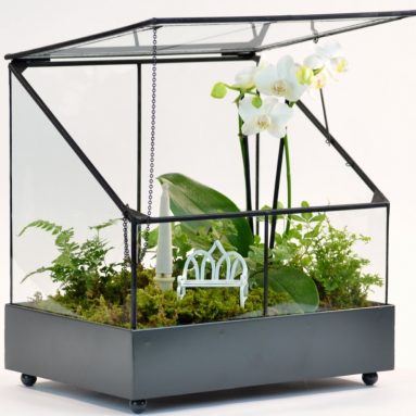 Terrarium-fairy Garden Display Case