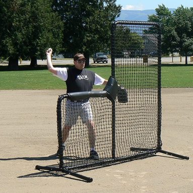 The Armadillo Baseball L-Screen