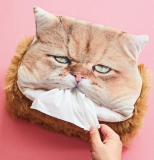 Cat Tissue Box Cover