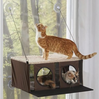 The Cat’s Windowed Penthouse