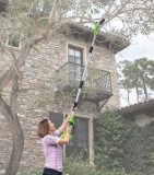 The Cordless Long Reach Chainsaw