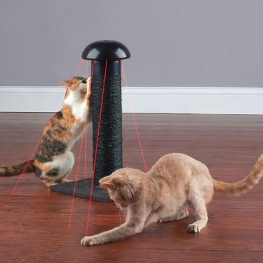 The Feline’s Laser Chasing Scratch Post