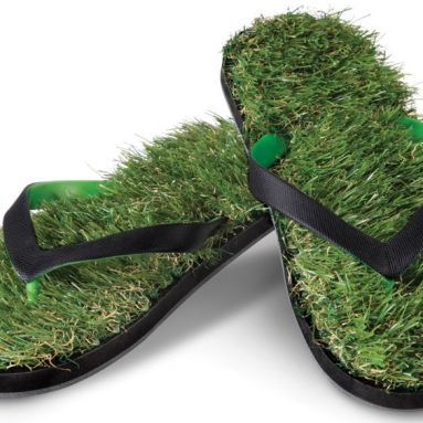 The Fescue Flip Flops