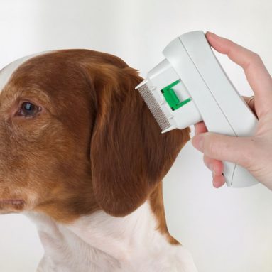 The Flea Killing Pet Comb