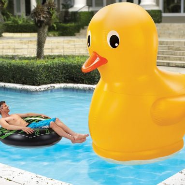 The Giant Rubber Duckie