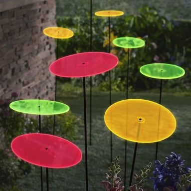 The Glowing Suncatchers