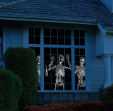 The HD Window Scene Animator