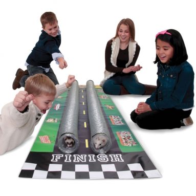 The Hamster Drag Strip