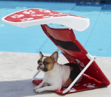 The Instant Pet Sunshade