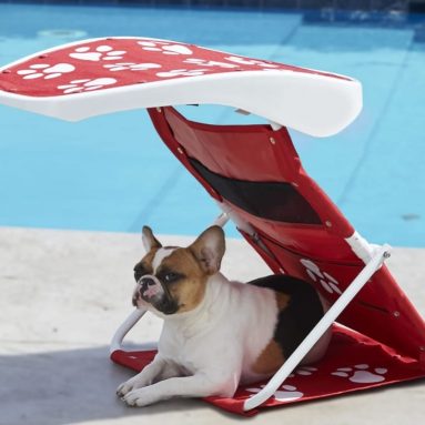 The Instant Pet Sunshade