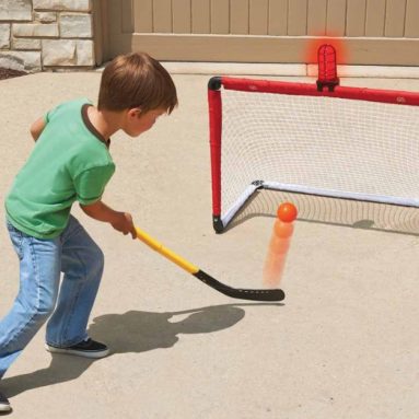 The Light And Horn Hockey Net