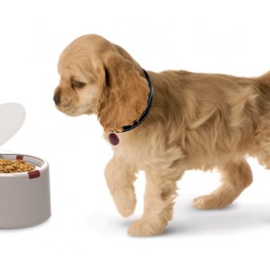 The Microchip Activated Pet Feeder
