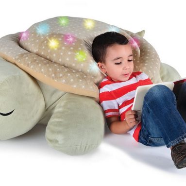 The Nap Inducing Plush Giant Tortoise