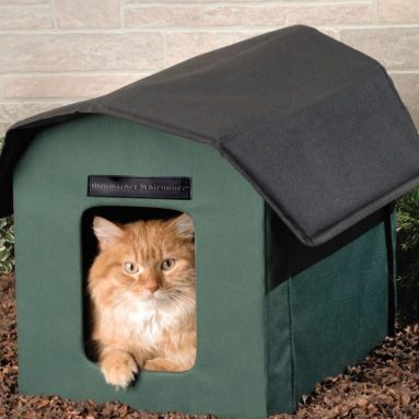 The Only Outdoor Heated Cat Shelter