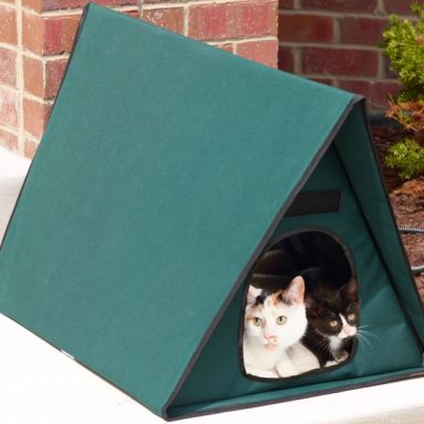 The Only Outdoor Heated Multi Cat Shelter