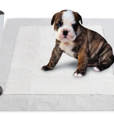 The Pavlovian Puppy Potty Trainer