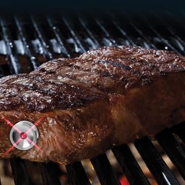 The Perfect Steak Thermometer