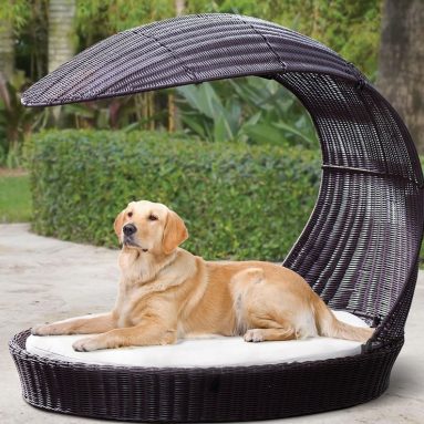 The Pet’s Lounging Pergola