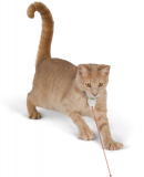 The Pet’s Perpetual Pursuit Playmate