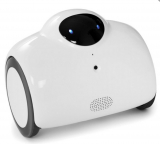 The Smartphone Controlled Home Patrolling Robot