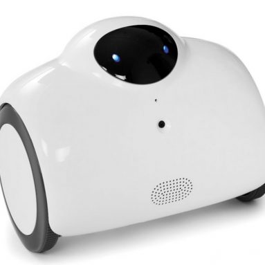 The Smartphone Controlled Home Patrolling Robot