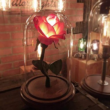 The”Belle” – Enchanted rose