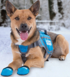 ThermoPaws Dog Boots