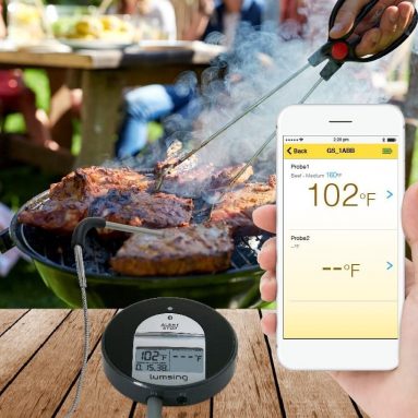 Thermometer with One Stainless Steel Temperature Probe