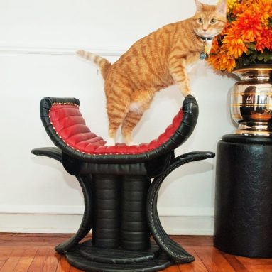 Throne Luxury Cat Bed