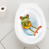 Toilet Lid Decal “Frog with Lifesaver”