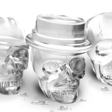 Tovolo Skull Ice Molds